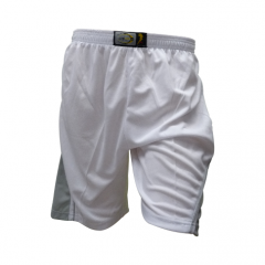 12er-Teamsatz FiveNine "zwanzig12" weiß-silber